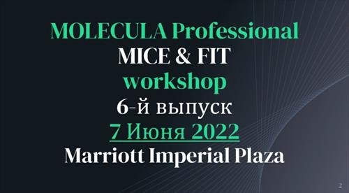 Новая MOLECULA в работе