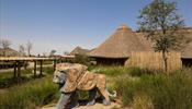 Sharjah Safari открылся после летних каникул