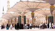 Саудовская Аравия впервые вводит туристические визы