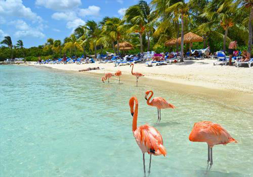 Карибам предрекают ураганное лето