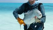 Минобороны опровергает «рыбалку» военных чиновников на Сейшелах