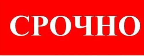 Ростуризм срочно создает штаб по вывозу туристов из Египта