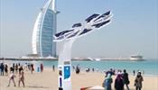 В Дубае решили установить «умные пальмы»