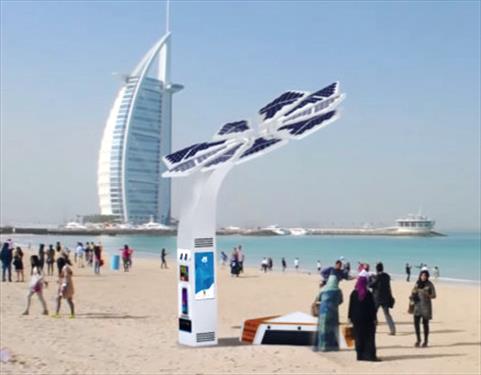 В Дубае решили установить «умные пальмы»