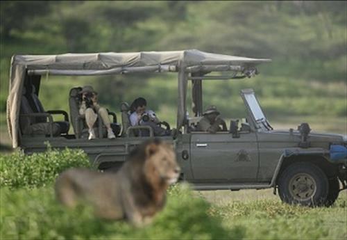 Royal Migration Camp в Танзании приглашает на знакомство