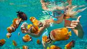 Не только под водой - каковы водные развлечения на Мальдивах