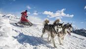 Лапландии нужны гастарбайтеры