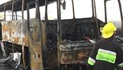 Автобус с туристами  взорвался в Египте