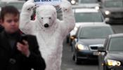 Медведь-активист ушел от погони