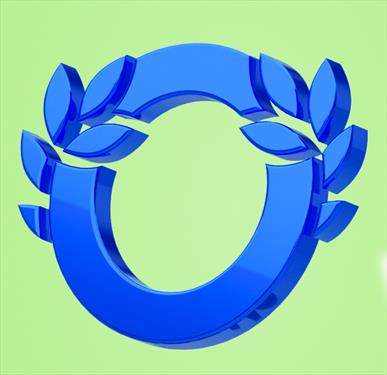 Островок и выбор гостей