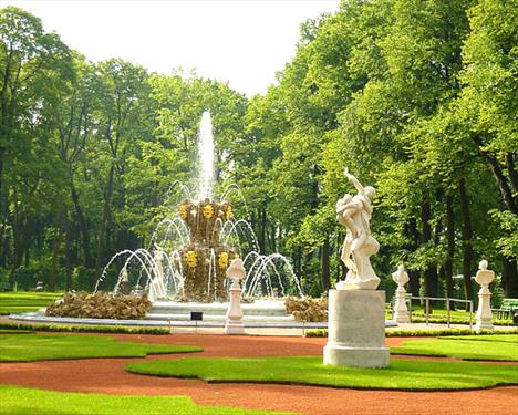 Что выбрать в С-Петербурге