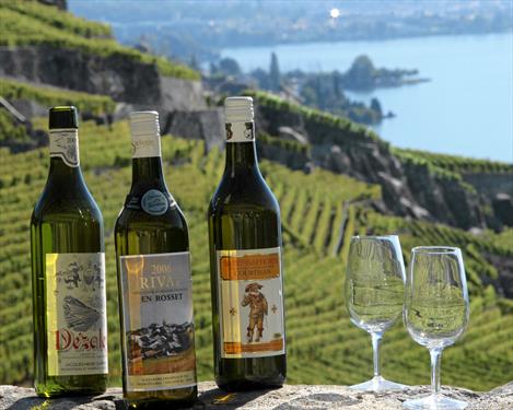 Разделите страсть швейцарских виноделов на Днях Открытых Дверей винных погребов