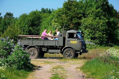 В Эстонии считают необходимым перевозить туристов на грузовиках