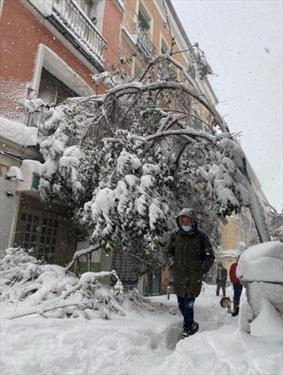 Снеготастрофа в Мадриде