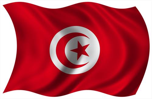 Тунисская авиакомпания собирается начать полеты из Москвы