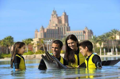 Скандал вокруг дельфинов в отеле Atlantis