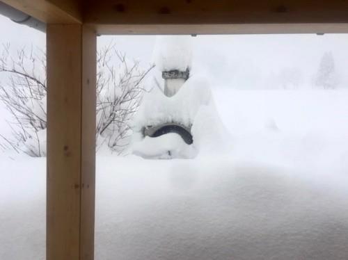 Австрийский курорт Хохкар эвакуировал тысячи людей из-за сильных снегопадов