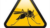 Кто организовал атаку комаров на Крым