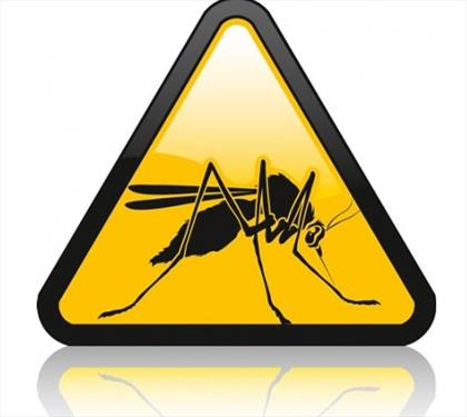 Кто организовал атаку комаров на Крым
