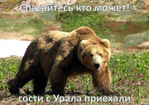 Челябинцы медведя в Польше не избивали