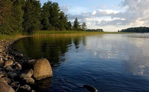 Где безопасно купатьcя в Ленобласти