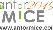 Новый год -  новый MICE ANTOR workshop