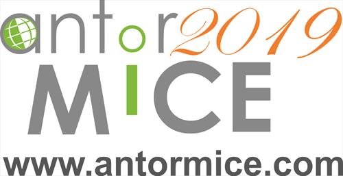 Новый год -  новый MICE ANTOR workshop