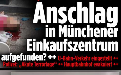 Стрелков в Мюнхене ищут вертолеты со снайперами