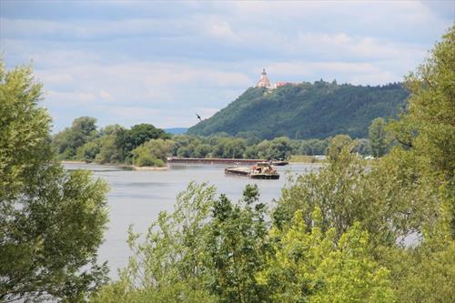 Сухогруз сел на мель и перегородил Дунай