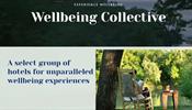 Hyatt представил отели Wellbeing Collective