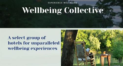 Hyatt представил отели Wellbeing Collective